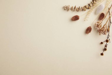 Çam dalları ve süslemeleri olan bir Noel arkaplanı. en üstteki görünüm