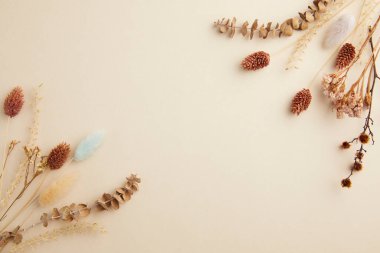 Kuru çiçek ve kurutulmuş çiçekler bej arka planda, düzlük, yazı için boşluk. Üst görünüm, boşluk kopyala.