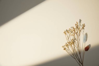 Gri arkaplanda beyaz çiçekler