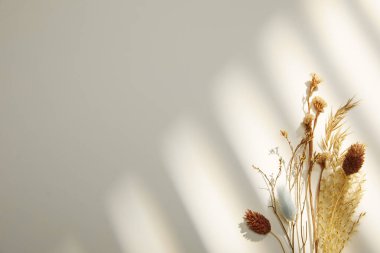 beyaz zemin üzerine güzel çiçekler