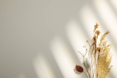 Beyaz arkaplanı olan kuru ot