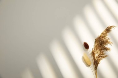 Penceredeki beyaz tüy