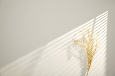 Masada buğday kulakları