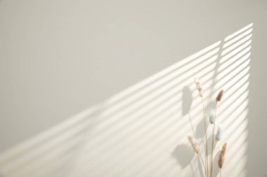 Beyaz bir arka planda beyaz pencere