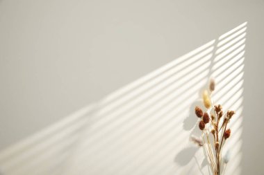 Beyaz odada palmiye yapraklarının gölgesi