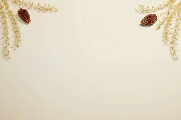 Kuru yapraklar ve kuru çiçeklerle sonbahar arkaplanı