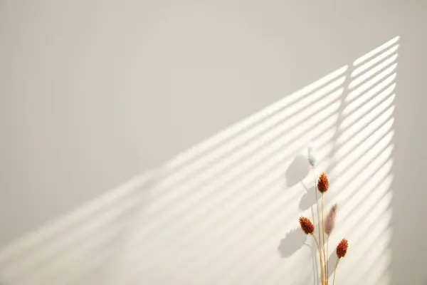 Duvarda gölgesi olan beyaz pencere