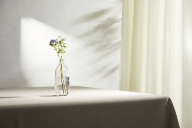 Doğal Işık ve Bitki Dekorasyonu ile Minimalist Ev İçi.