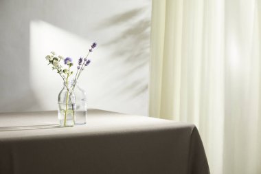 Doğal Işık ve Bitki Dekorasyonu ile Minimalist Ev İçi.