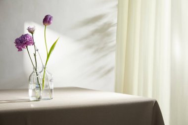 Doğal Işık ve Bitki Dekorasyonu ile Minimalist Ev İçi.