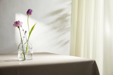 Doğal Işık ve Bitki Dekorasyonu ile Minimalist Ev İçi.