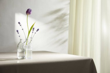 Doğal Işık ve Bitki Dekorasyonu ile Minimalist Ev İçi.