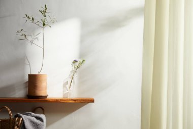 Doğal Işık ve Bitki Dekorasyonu ile Minimalist Ev İçi.