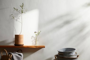 Doğal Işık ve Bitki Dekorasyonu ile Minimalist Ev İçi.