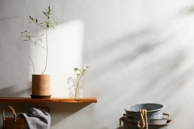 Doğal Işık ve Bitki Dekorasyonu ile Minimalist Ev İçi.