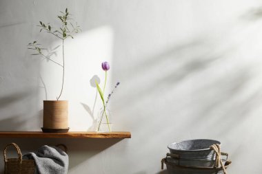 Doğal Işık ve Bitki Dekorasyonu ile Minimalist Ev İçi.