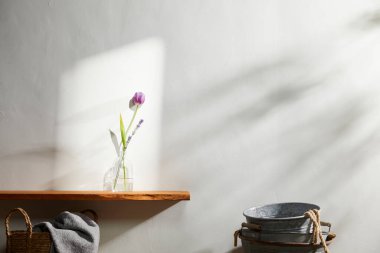 Doğal Işık ve Bitki Dekorasyonu ile Minimalist Ev İçi.