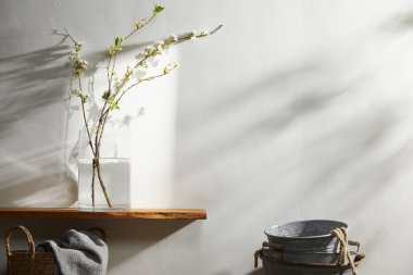 Doğal Işık ve Bitki Dekorasyonu ile Minimalist Ev İçi.