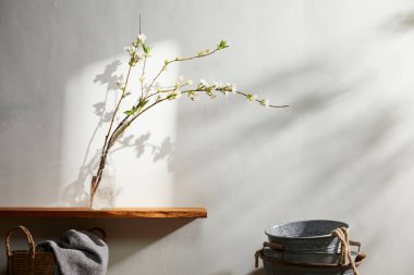 Doğal Işık ve Bitki Dekorasyonu ile Minimalist Ev İçi.