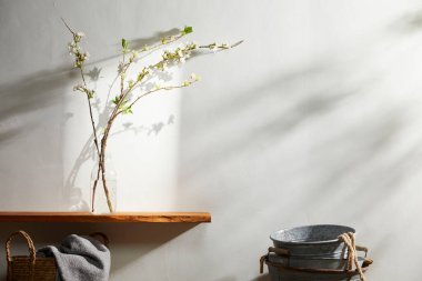 Doğal Işık ve Bitki Dekorasyonu ile Minimalist Ev İçi.