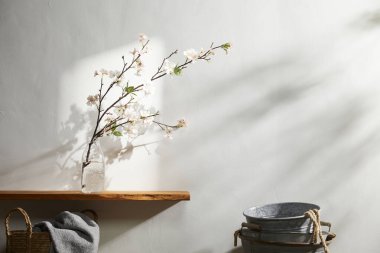 Doğal Işık ve Bitki Dekorasyonu ile Minimalist Ev İçi.