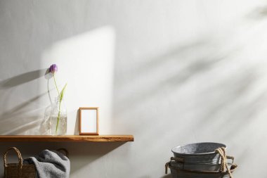 Doğal Işık ve Bitki Dekorasyonu ile Minimalist Ev İçi.