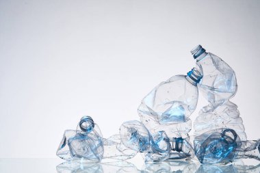 Plastik Atık ve Çevresel Sürdürülebilirlik Kavramı