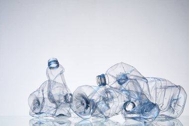 Plastik Atık ve Çevresel Sürdürülebilirlik Kavramı