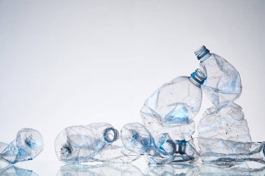 Plastik Atık ve Çevresel Sürdürülebilirlik Kavramı