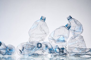 Plastik Atık ve Çevresel Sürdürülebilirlik Kavramı