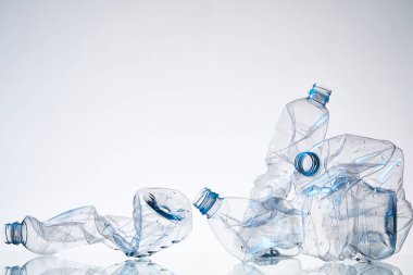 Plastik Atık ve Çevresel Sürdürülebilirlik Kavramı