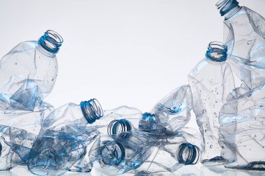 Plastik Atık ve Çevresel Sürdürülebilirlik Kavramı