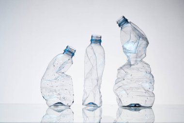 Plastik Atık ve Çevresel Sürdürülebilirlik Kavramı