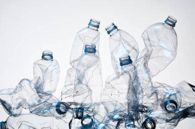 Plastik Atık ve Çevresel Sürdürülebilirlik Kavramı