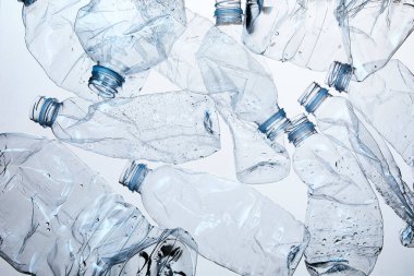 Plastik Atık ve Çevresel Sürdürülebilirlik Kavramı