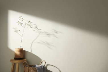 Bej renkli iç döşeme, güneşli duvarlar ve çeşitli nesneler..