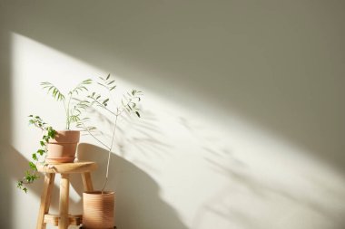 Bej renkli iç döşeme, güneşli duvarlar ve çeşitli nesneler..