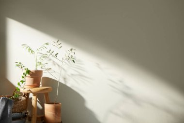 Bej renkli iç döşeme, güneşli duvarlar ve çeşitli nesneler..