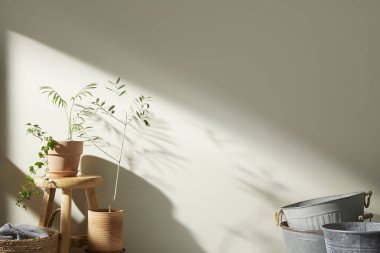 Bej renkli iç döşeme, güneşli duvarlar ve çeşitli nesneler..