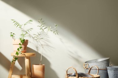 Bej renkli iç döşeme, güneşli duvarlar ve çeşitli nesneler..