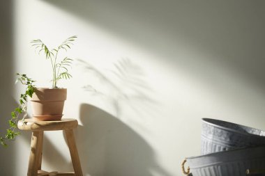 Bej renkli iç döşeme, güneşli duvarlar ve çeşitli nesneler..