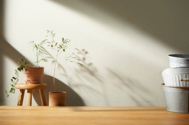 Bej renkli iç döşeme, güneşli duvarlar ve çeşitli nesneler..