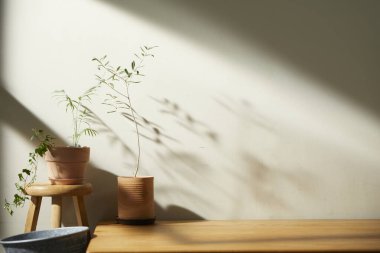 Bej renkli iç döşeme, güneşli duvarlar ve çeşitli nesneler..