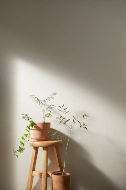 Bej renkli iç döşeme, güneşli duvarlar ve çeşitli nesneler..