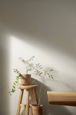 Bej renkli iç döşeme, güneşli duvarlar ve çeşitli nesneler..