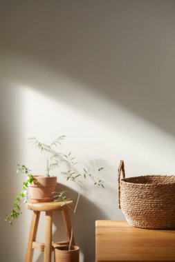 Bej renkli iç döşeme, güneşli duvarlar ve çeşitli nesneler..