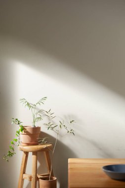 Bej renkli iç döşeme, güneşli duvarlar ve çeşitli nesneler..