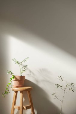 Bej renkli iç döşeme, güneşli duvarlar ve çeşitli nesneler..