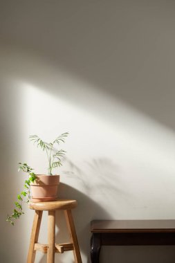 Bej renkli iç döşeme, güneşli duvarlar ve çeşitli nesneler..