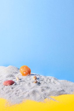 Deniz kabuklu kumsal.